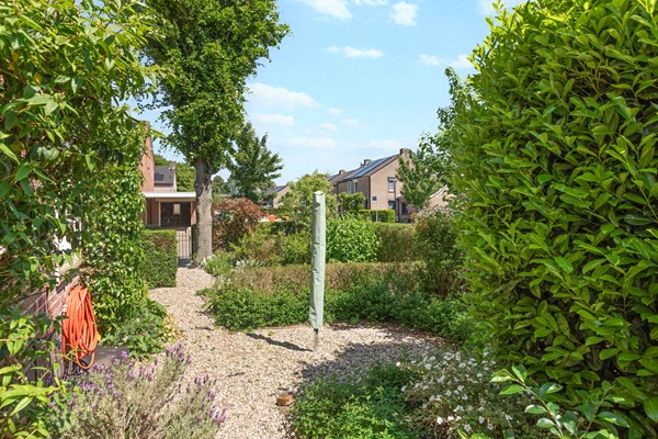 Schapenweg 13-41.jpg